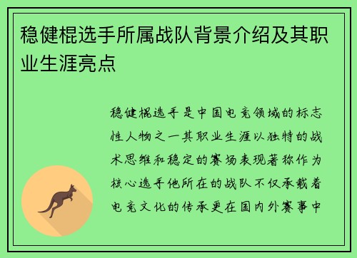 稳健棍选手所属战队背景介绍及其职业生涯亮点