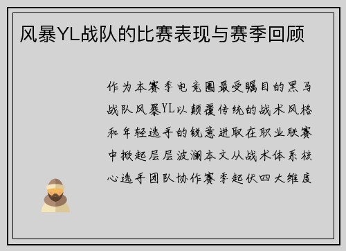 风暴YL战队的比赛表现与赛季回顾